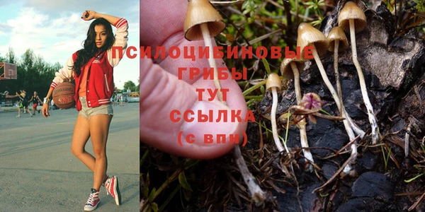 не бодяженный Белокуриха