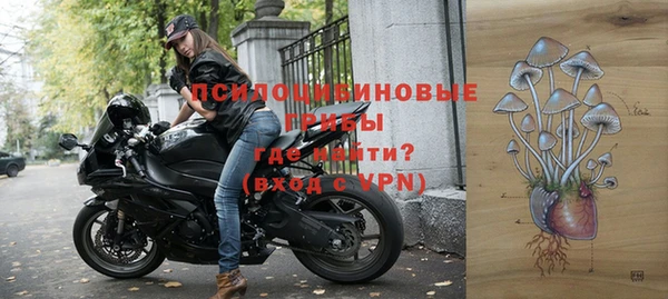 не бодяженный Белокуриха