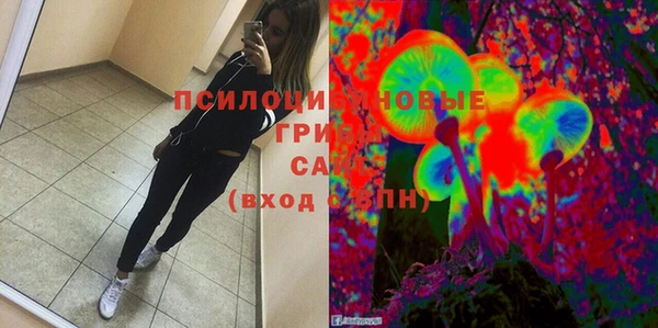 не бодяженный Белокуриха