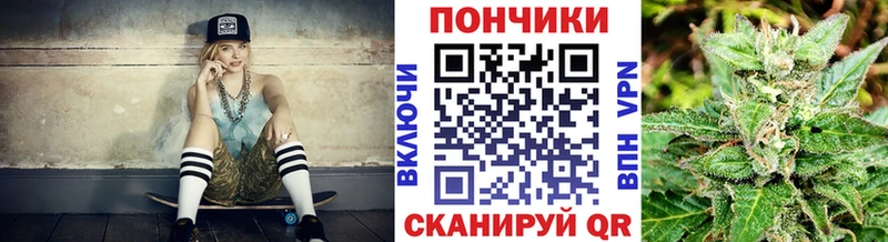 где купить   Городовиковск  Шишки марихуана сатива 